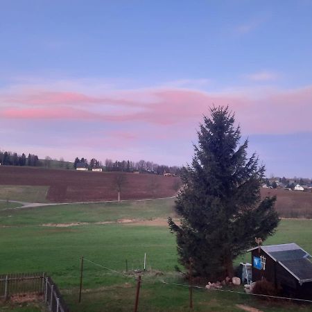 Ferienwohnung Wiesenblick In Seiffen Zewnętrze zdjęcie