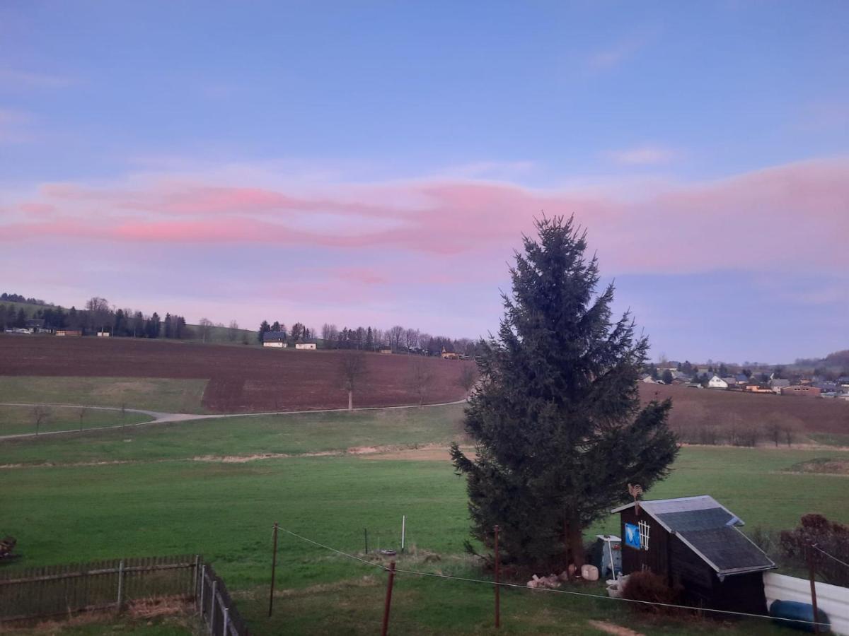 Ferienwohnung Wiesenblick In Seiffen Zewnętrze zdjęcie