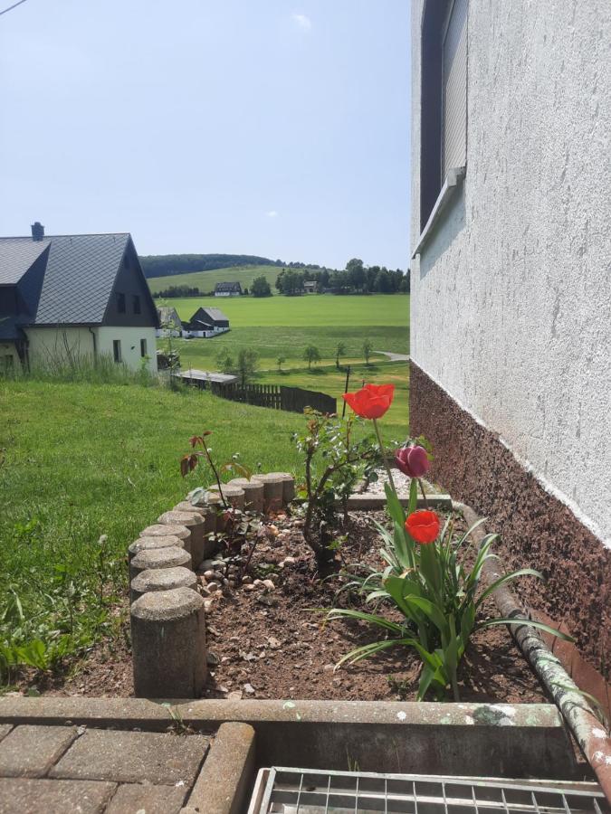 Ferienwohnung Wiesenblick In Seiffen Zewnętrze zdjęcie